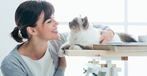 Introduction to Feline Care Certification