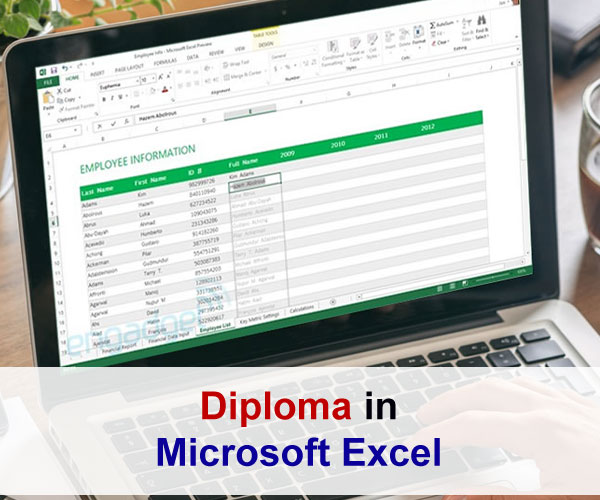 Diploma in Microsoft Excel